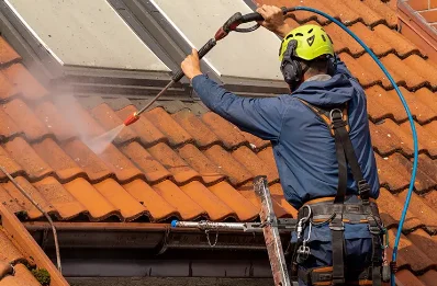 Démoussage et hydrofuge de toiture à Cauro